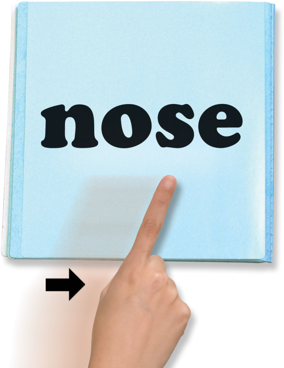 Point To The Words From Left To Right As You Say Them - Buses Frontera Del Norte (800x800), Png Download