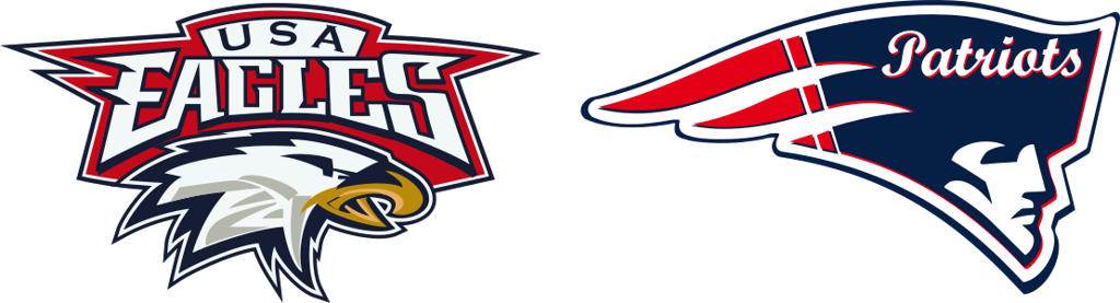 Usa Eagles Coaches - Usa Eagles Hockey Logo (1024x277), Png Download