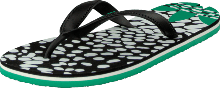 Adidas Originals Adisun W Core Black/surf Green 21447-01 - Surf Tofflor (705x282), Png Download