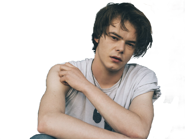 Charlie Heaton Hot (640x480), Png Download
