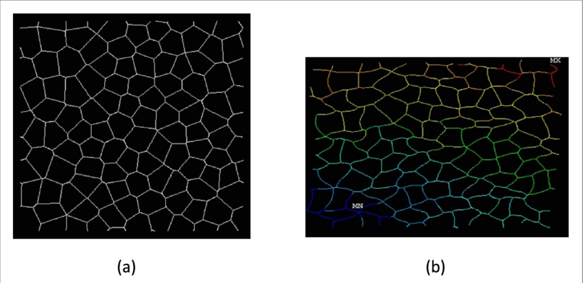 A Periodic Voronoi Honeycomb With 100 Complete Cells - Kate Spade Wilson Road Talya (850x412), Png Download