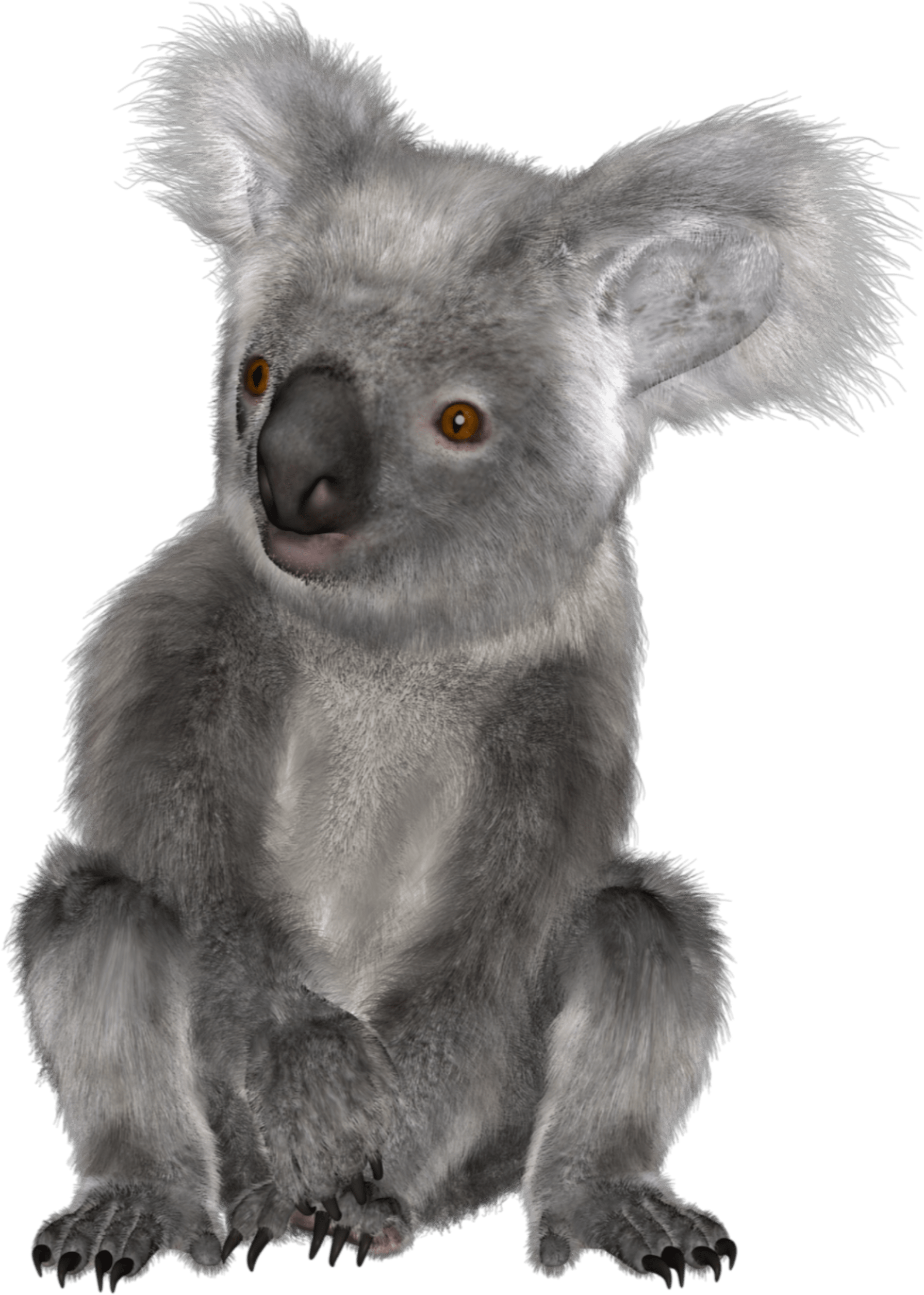 The Newest Koala Stickers On Picsart - Koala (1976x2674), Png Download