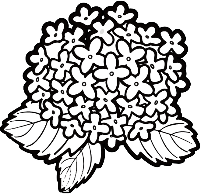 Flower Clipart Floral Design Line Art Png 660 * 635 - Kindergarten (660x635), Png Download