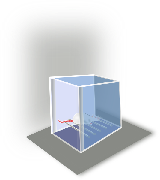 Conditioning Box Svg Clip Arts 534 X 600 Px (534x600), Png Download