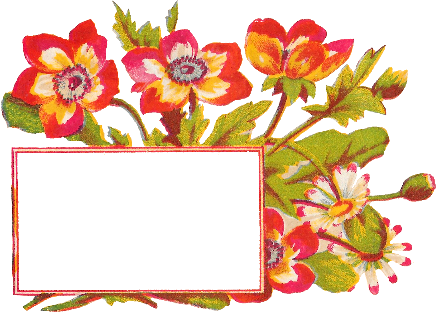 Digital Flower Label Download - Flower Design Label (1600x1165), Png Download