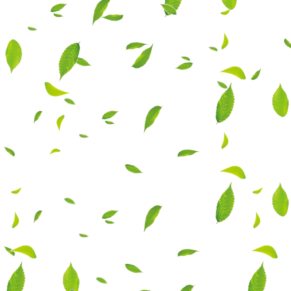 Available In Png Format - Folhas Png (1024x1024), Png Download