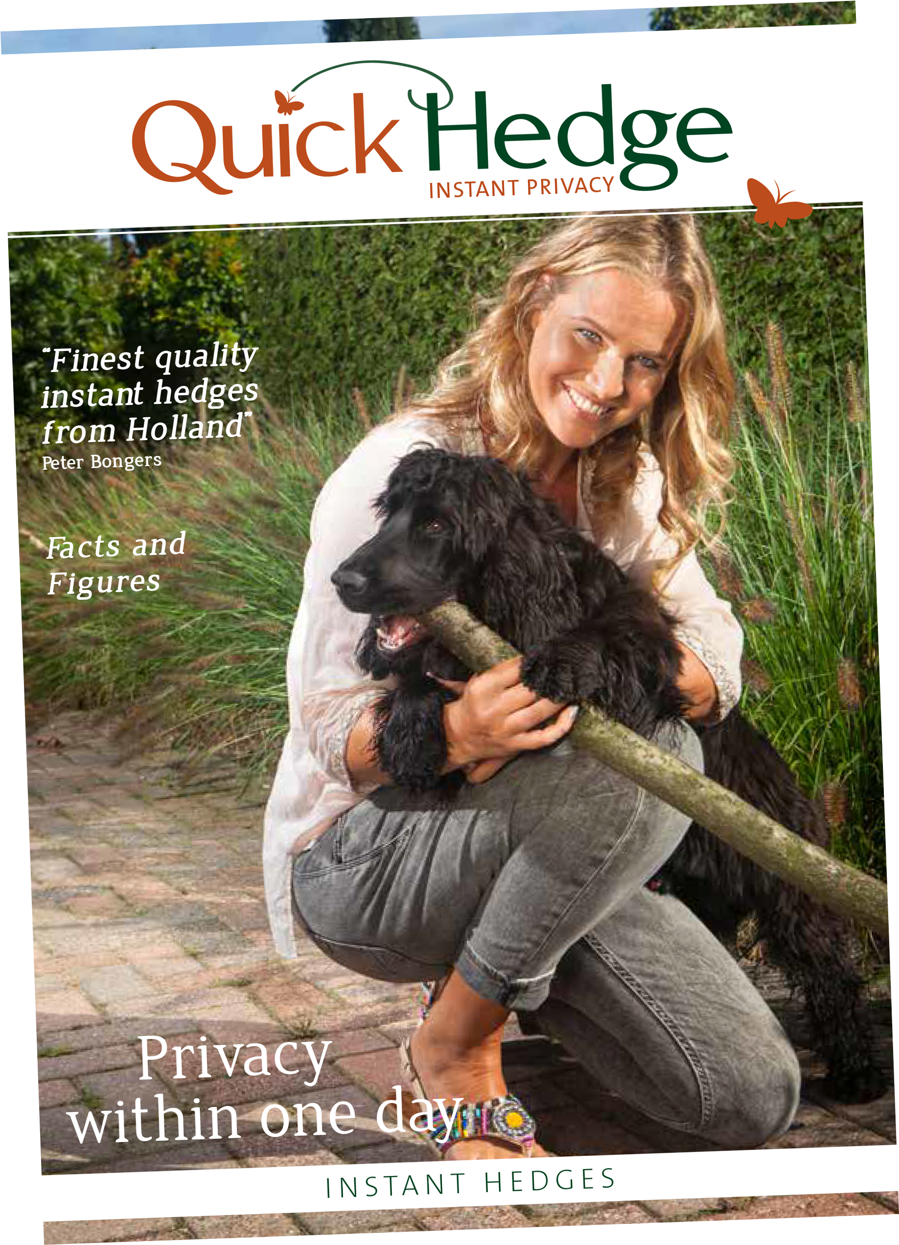 Flyer En - Cocker Spaniel (1890x2717), Png Download