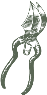 Hedge Cutting (400x400), Png Download