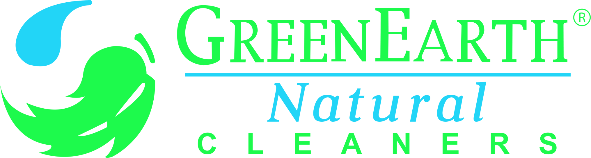 Green Earth Cleaning (2048x582), Png Download