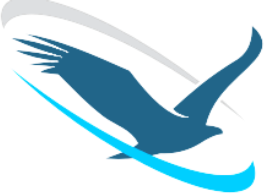 Soaring Eagle Network Soaring Eagle Logo Free Transparent PNG