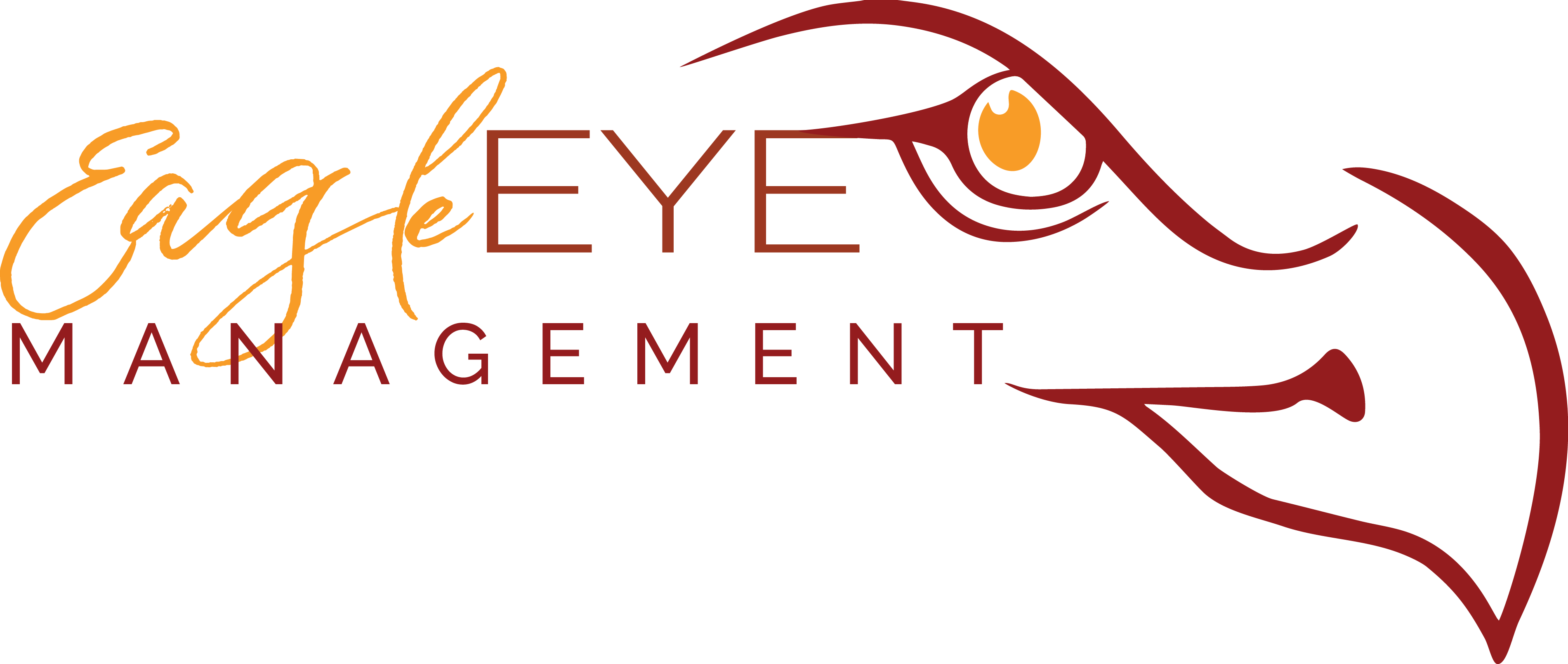 Eagle Eye Management, Llc - Eagle Eyes Consulting (3801x1609), Png Download