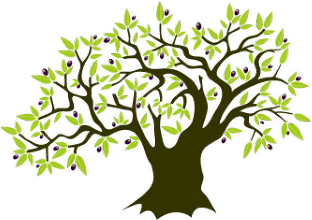 Olive Tree Clipart (640x480), Png Download