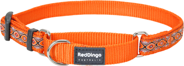 Martingale Snake Eyes Orange Designer Dog Collar - Red Dingo Designer Martingale Dog Collar Large Snake (600x215), Png Download