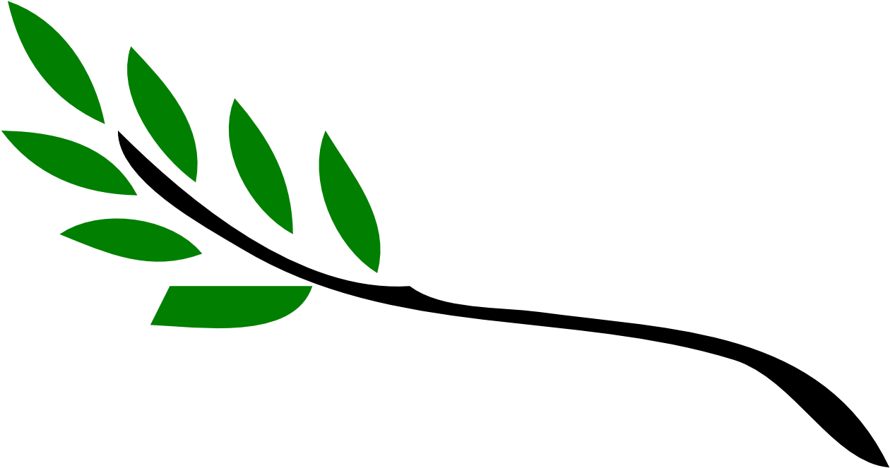 Olive Branch Christmas Xmas - Christmas Day (1331x716), Png Download