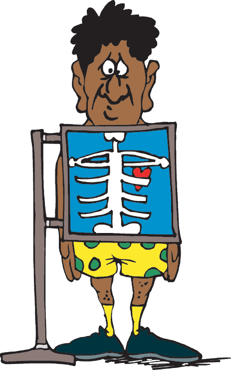 One Of Your Body's Organs, The Heart, Works Day And - Heart (463x740), Png Download