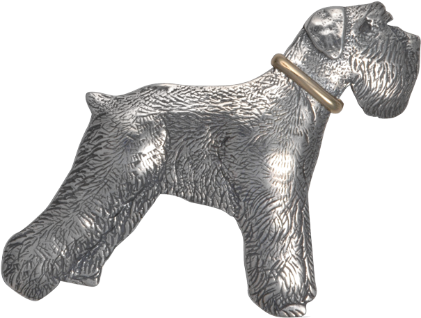 Schnauzer With Collar Pin/pendant (640x640), Png Download