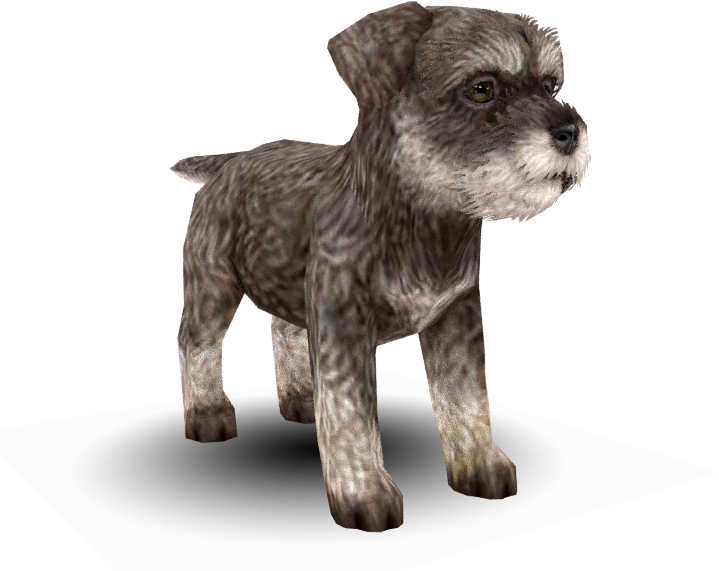 Download Zip Archive - Schnoodle (750x650), Png Download