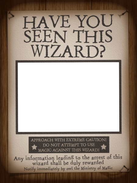 Have You Seen This Wizard - Harry Potter Have You Seen This Wizard Printable (450x600), Png Download