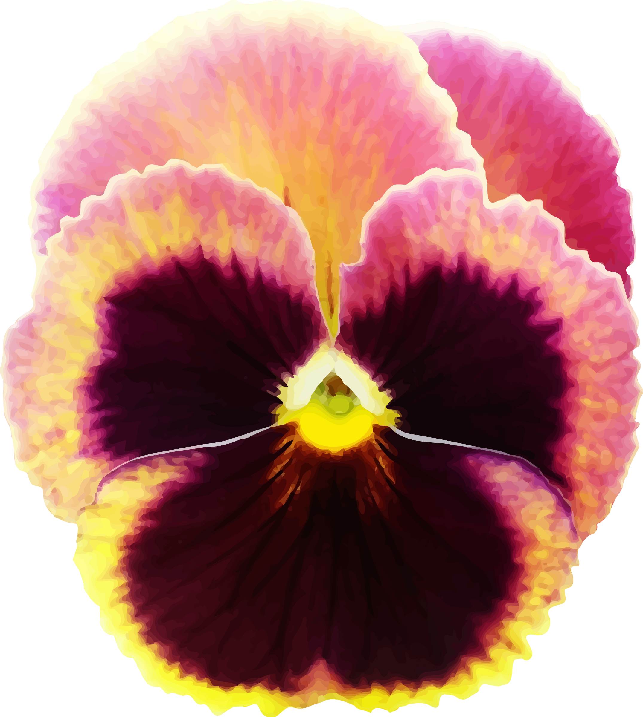 Pansy - Pansy Clipart (2150x2400), Png Download