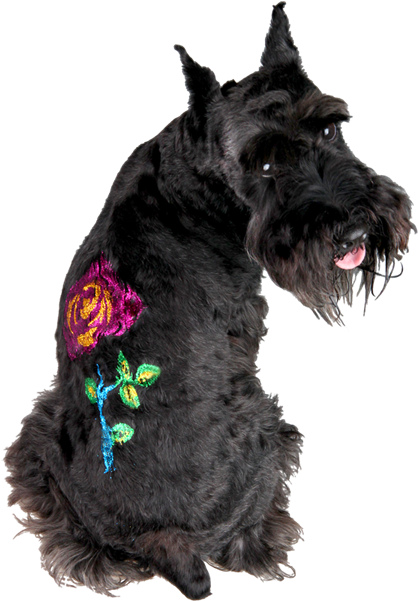 Glitter Gel Tattoo Stencil Valu Pack Free Shipping - Glitter Tattoo Dogs (600x600), Png Download