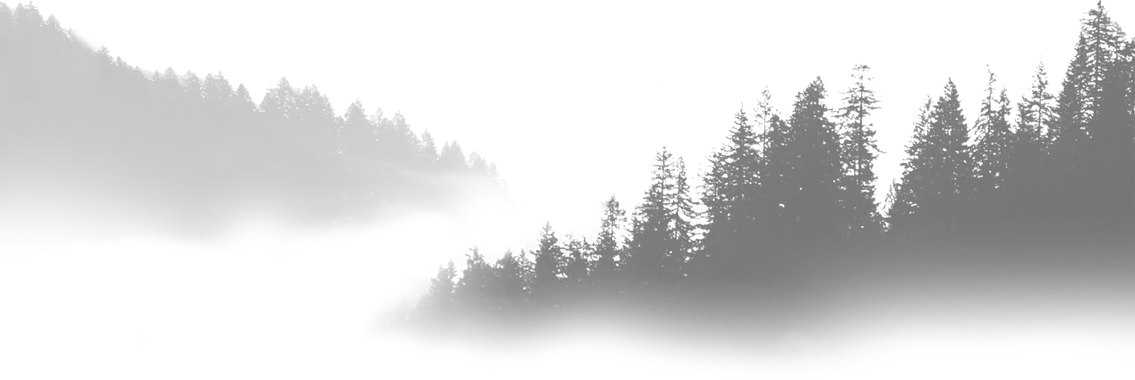 Fog-1 - Suislaw National Forest (green) At Dawn Tote Bag, Adult (1600x536), Png Download