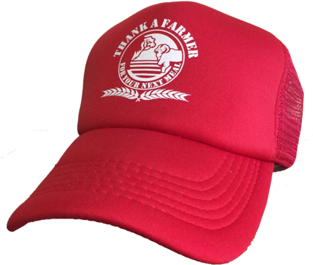 Truckers Cap Red - Cap (450x600), Png Download