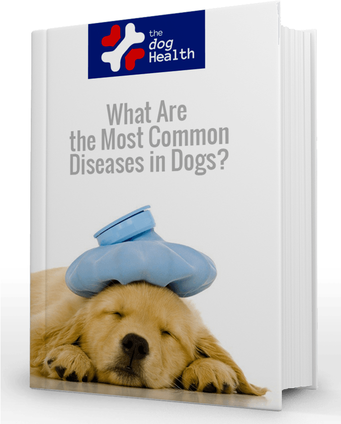 Most Common Diseases In Dogs - Sick Puppy Dogs (685x882), Png Download