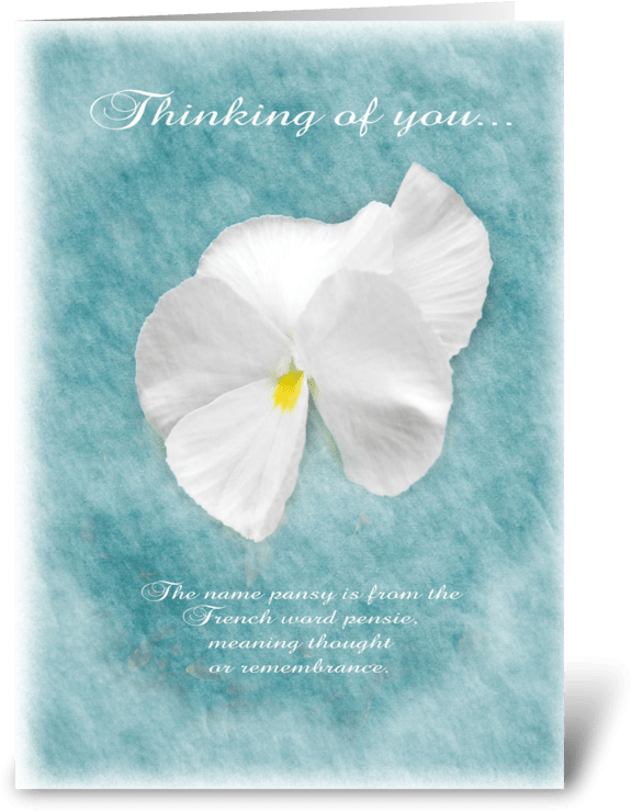 Thinking Of You Pansy Greeting Card - Arum (700x792), Png Download