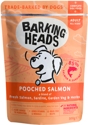 Pooched Salmon X10 <br> - Barking Heads Pooched Salmon (480x480), Png Download