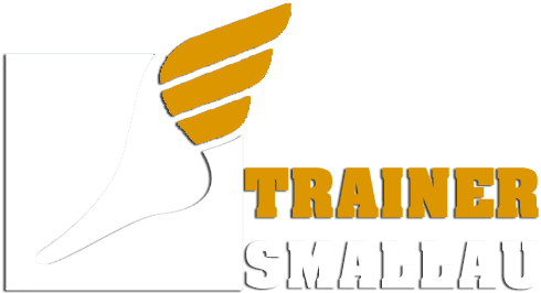 Nike/adidas/air Jordan/asics/converse Shoes Online - Shoe (495x276), Png Download