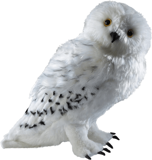 A Beautiful Plush Representation Of The Snowy Owl Given - Harry Potter Hedwig Collector Plush (600x600), Png Download