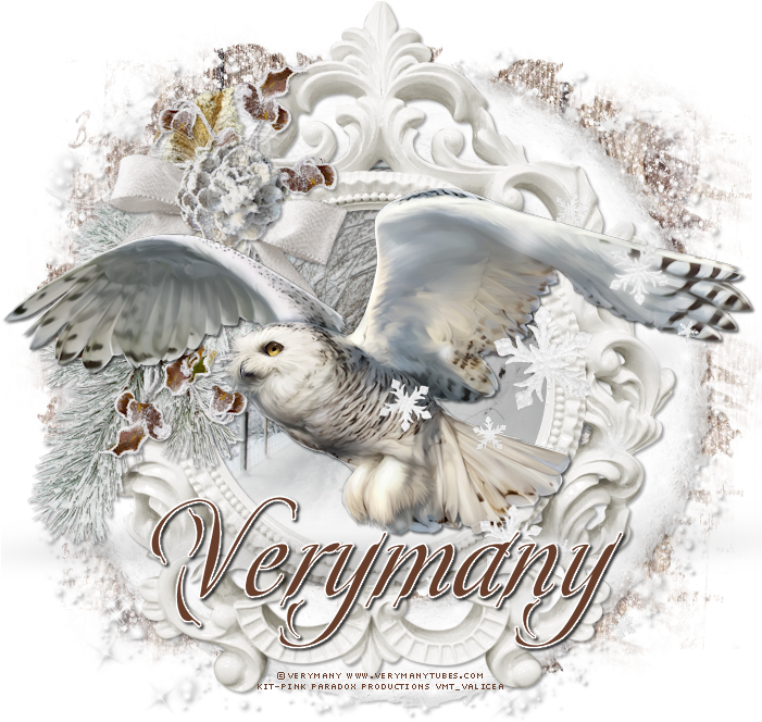 The White Owl - Snowy Owl (700x700), Png Download