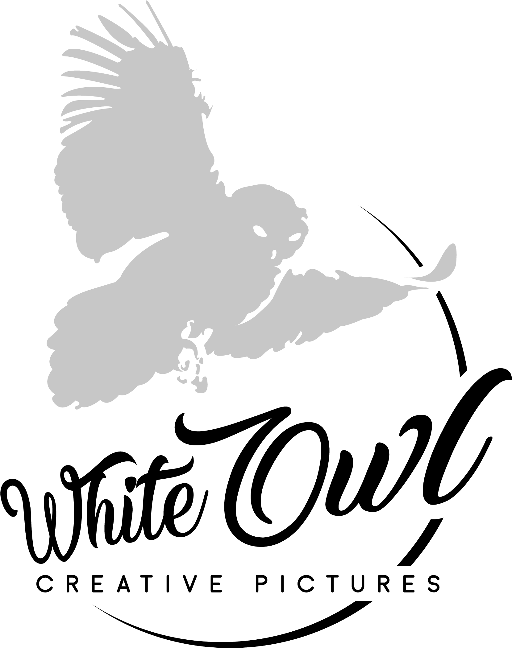 White Owl Creative Pictures Company Logo, Providing - Accipitridae (2292x2292), Png Download