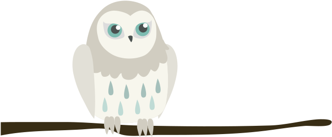 About Us - Snowy Owl (680x289), Png Download