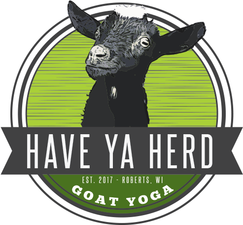 Goat Clipart Yoga - Yoga Goats River Falls Wi (500x500), Png Download