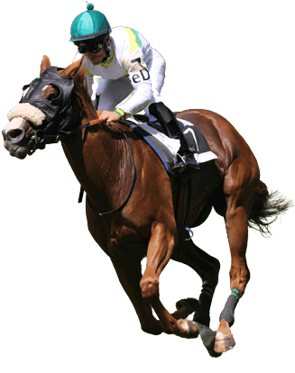 Buy Tickets - Party Till Dawn Racehorse (352x420), Png Download