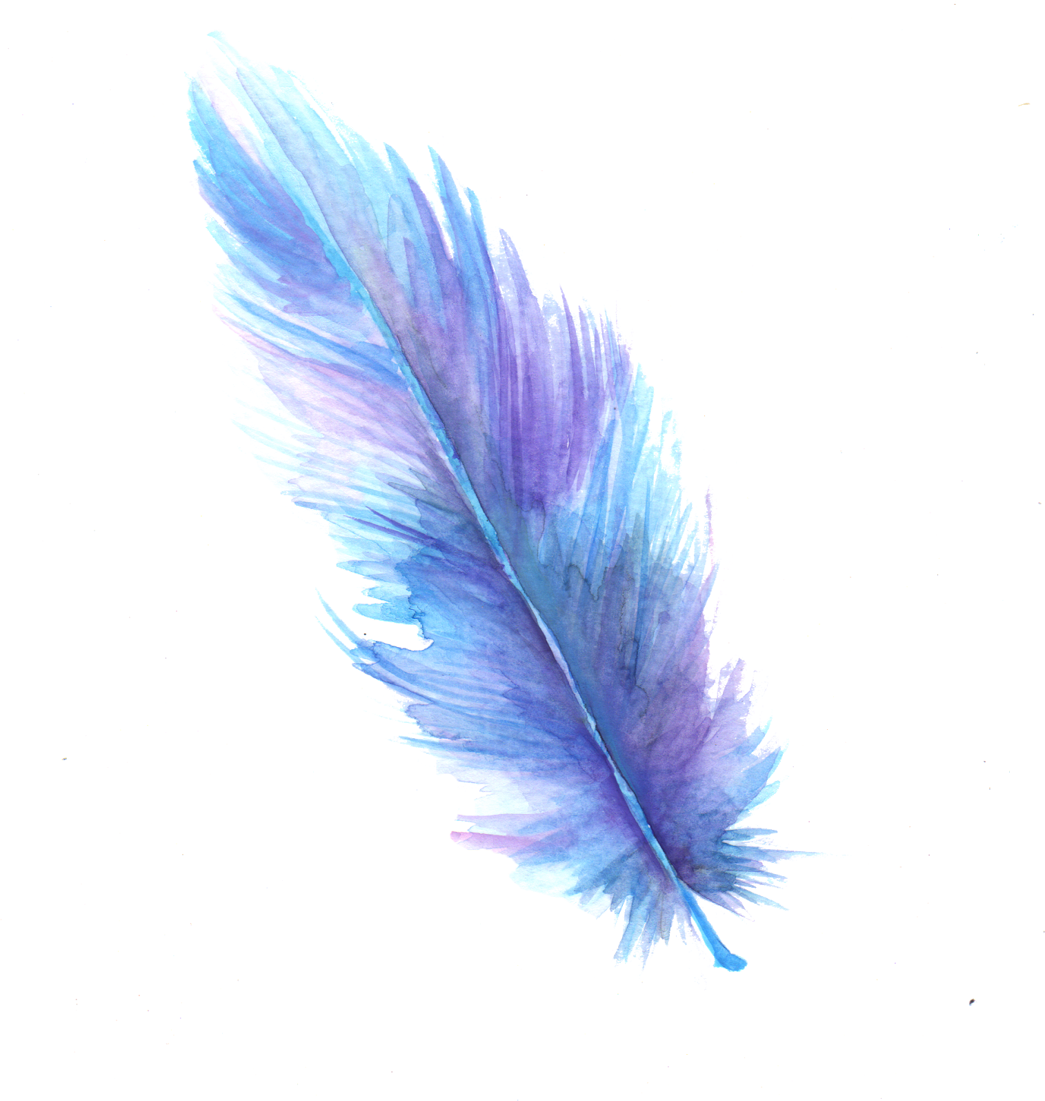 Jpeg With White Background - Art (1526x1600), Png Download