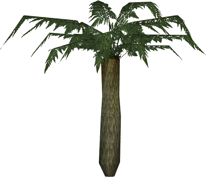 Large Tree Fern - Roystonea (699x699), Png Download