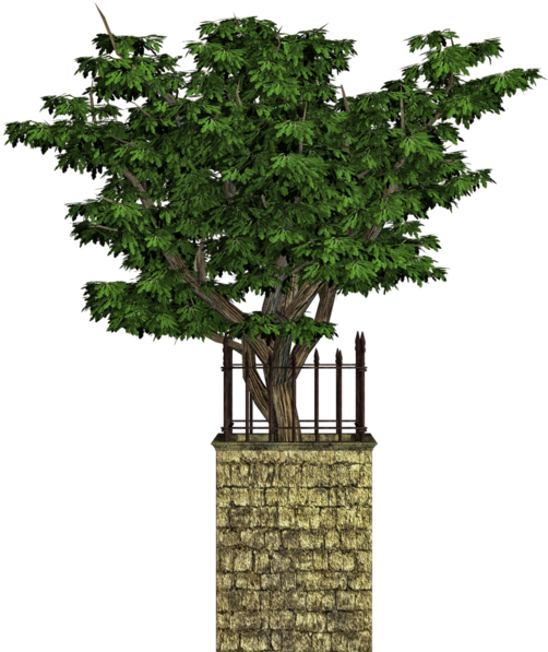 Share This Image - Houseplant (549x600), Png Download