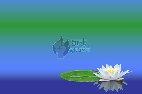 White Lotus Flower (606x402), Png Download