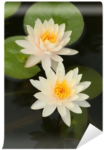 Canvas Print (400x400), Png Download