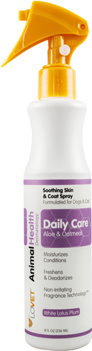 Cherry Blossom (500x500), Png Download