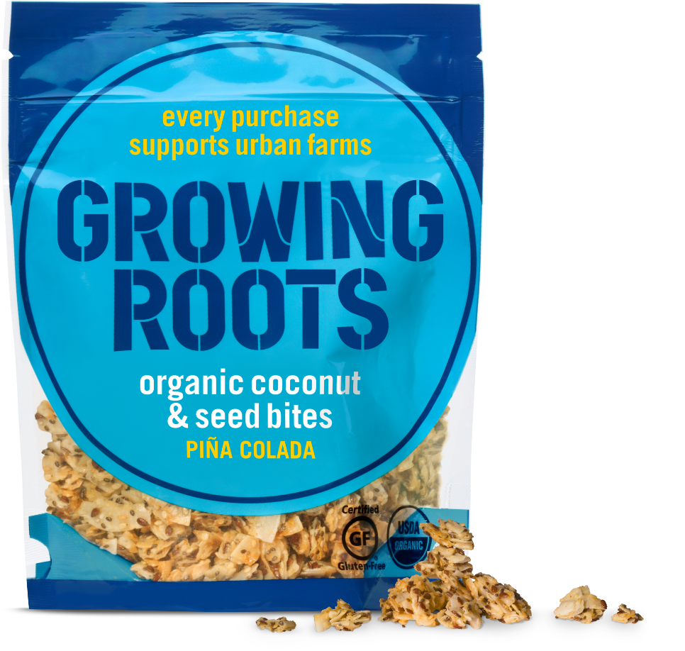 Growing Roots Organic Coconut And Seed Snacks Pineapple (1000x1000), Png Download