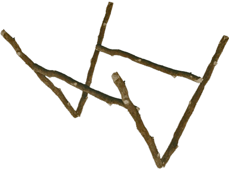 Wood (750x750), Png Download