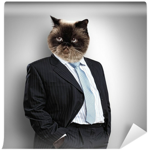 Funny Fluffy Cat In A Business Suit Self-adhesive Wall - Cat In A Business Suit Journal By Cool Image 9781541321502 (400x400), Png Download