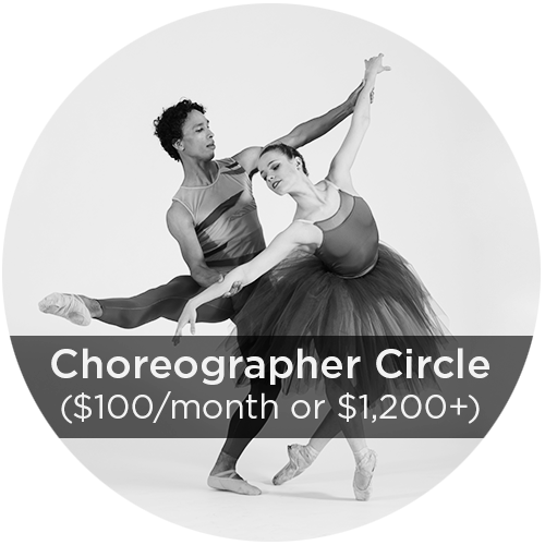 Choreo Donation Circles - Portable Network Graphics (500x500), Png Download