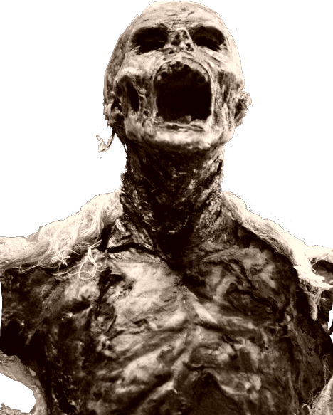 Report Abuse - Macabre Horror Art (468x583), Png Download