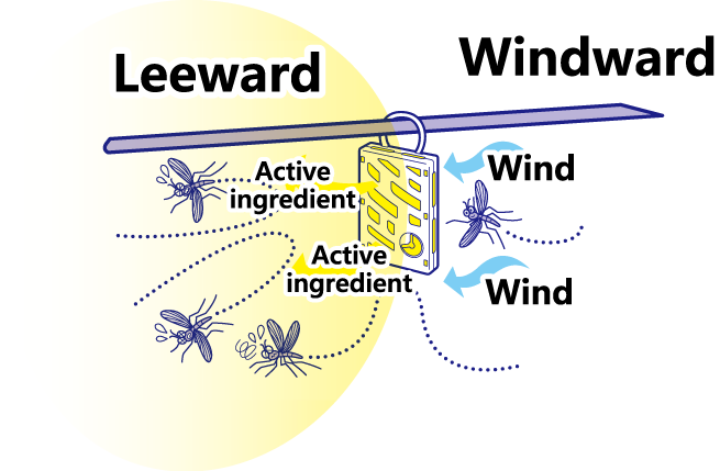 【qr】虫コナ風上素材eng - Kailua (655x429), Png Download