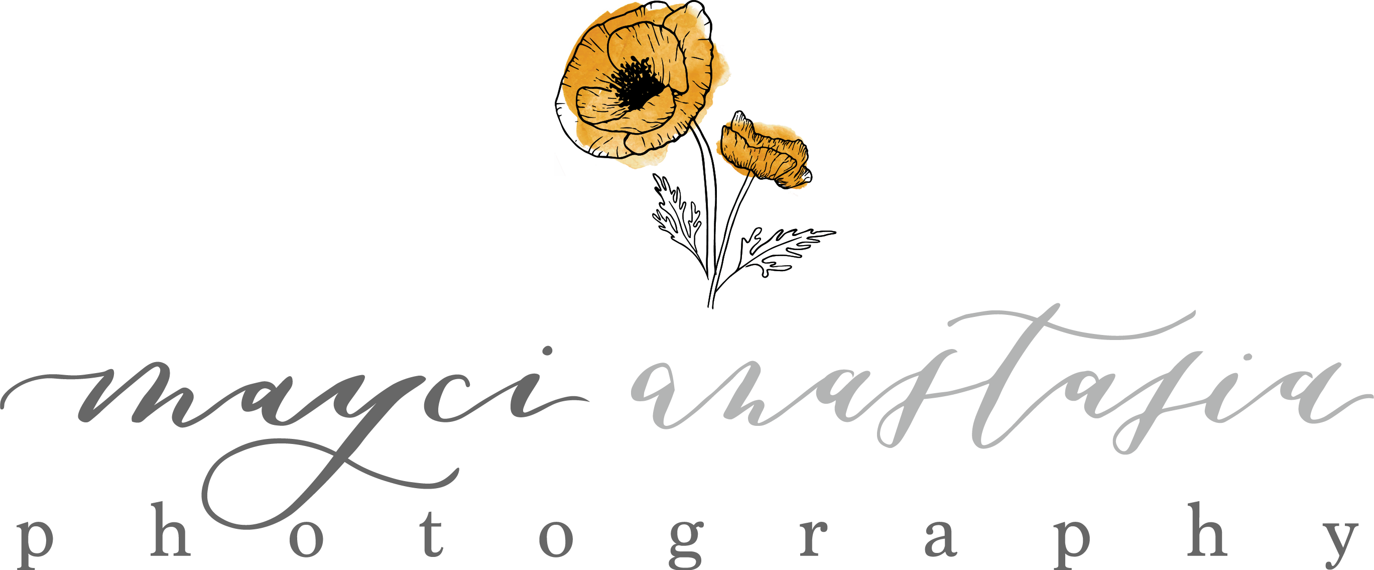 Mayci Anastasia Photography - Photographer (2737x1135), Png Download