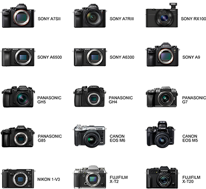 Supports All Mirrorless Cameras With A Max Payload - Megagear Ever Ready Leather Camera Case For Select (413x379), Png Download